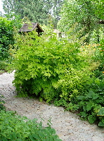 Garten Dexheim